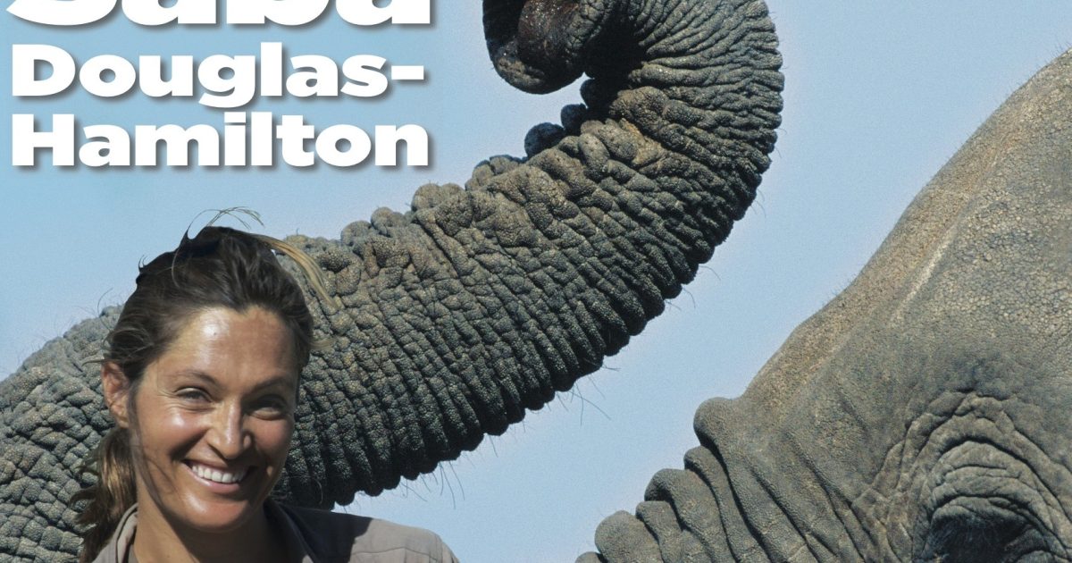 Bristol Grammar School | Saba Douglas-Hamilton